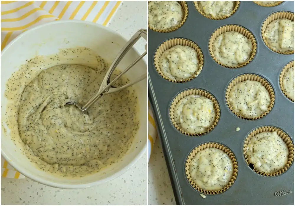 Hoe to make Lemon Poppy seed muffins