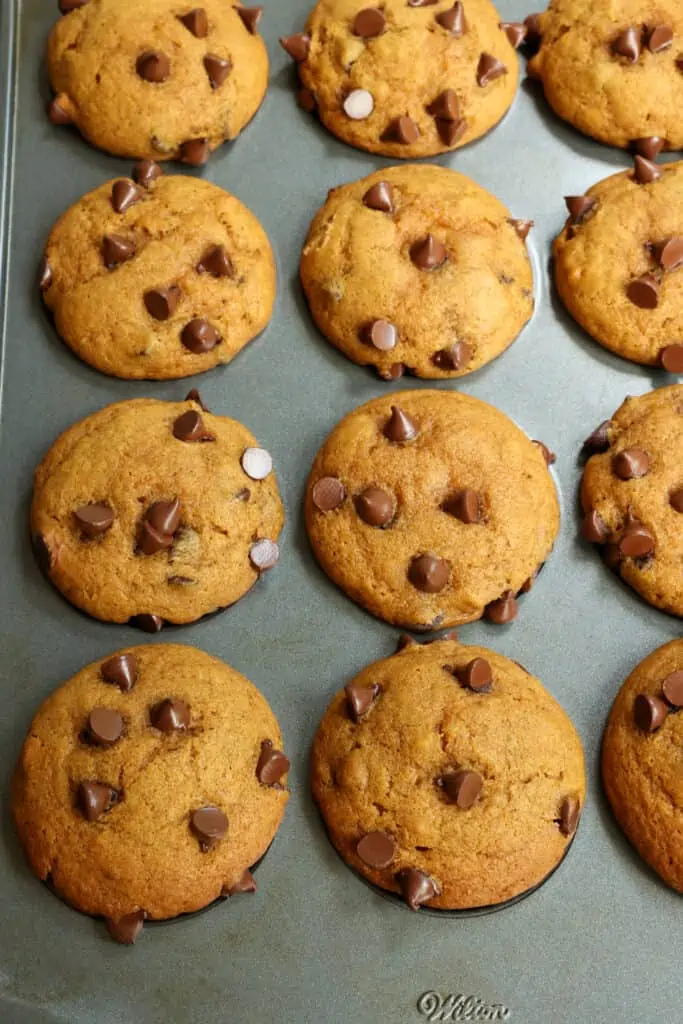 Delicious and moist bakery-style Pumpkin Chocolate Chip Muffins with pumpkin puree and rich semi-sweet chocolate chips. 