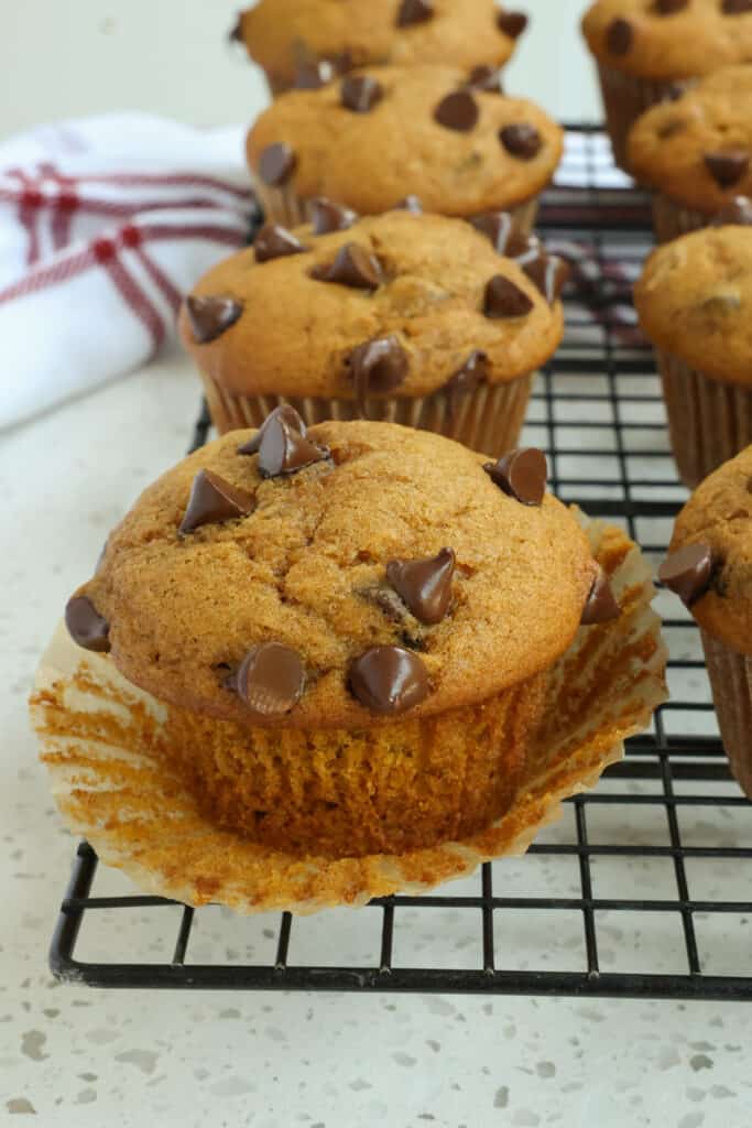 Quick and easy Pumpkin Chocolate Chip Muffins made moist and flavorful with pumpkin puree and semisweet chocolate chips. 