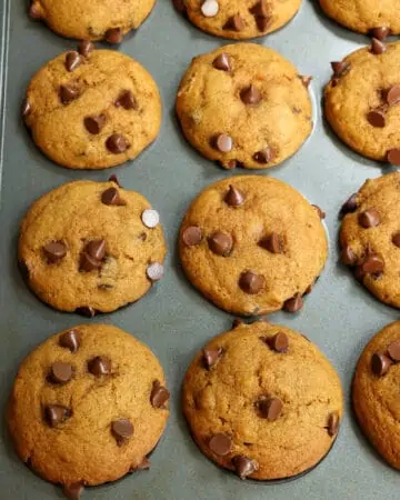 Pumpkin Chocolate Chip Muffins