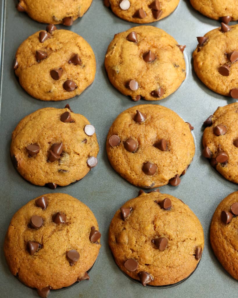 Pumpkin Chocolate Chip Muffins