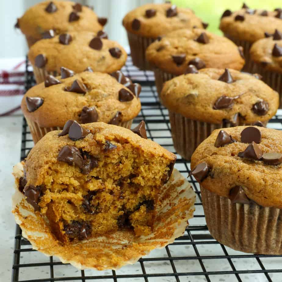 Pumpkin Chocolate Chip Muffins