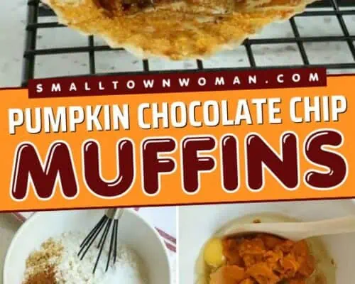 Pumpkin Chocolate Chip Muffins