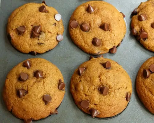 Pumpkin Chocolate Chip Muffins