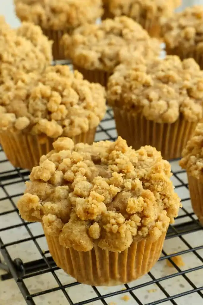 Enjoy these quick and easy muffins anytime.  They stay moist for days and they freeze well for up 3 months. 