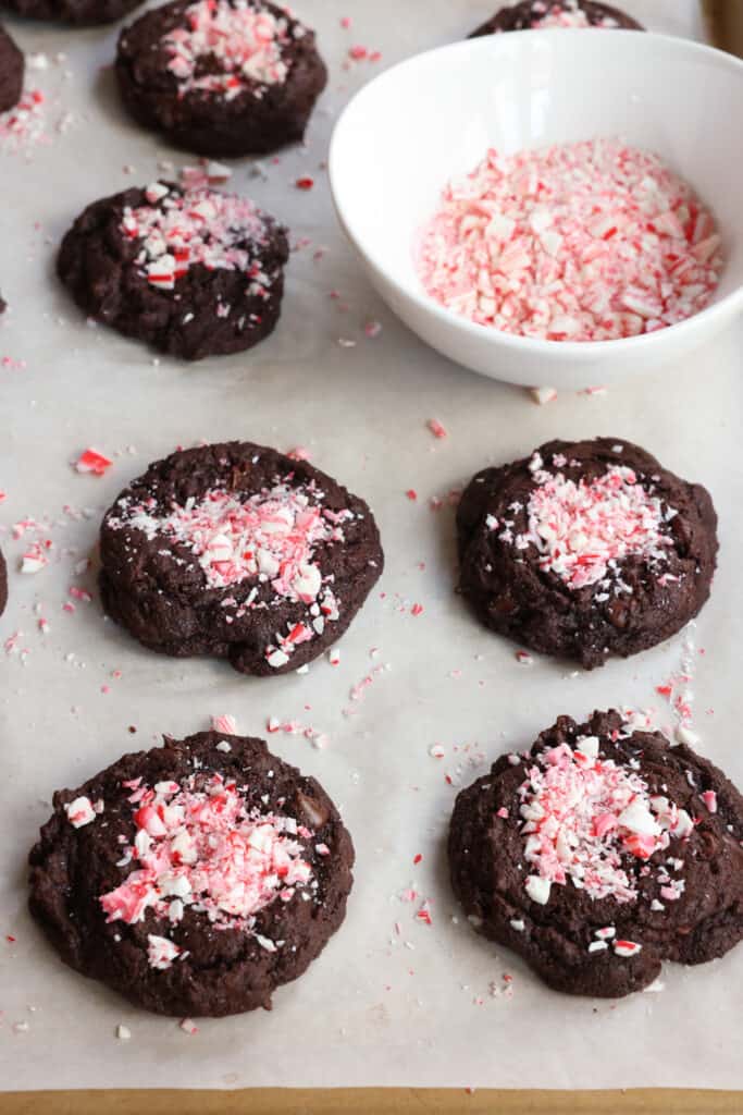 Rich double Chocolate Peppermint Cookies with semisweet chocolate chips and cool peppermint all topped with crushed candy canes just in time for the holidays