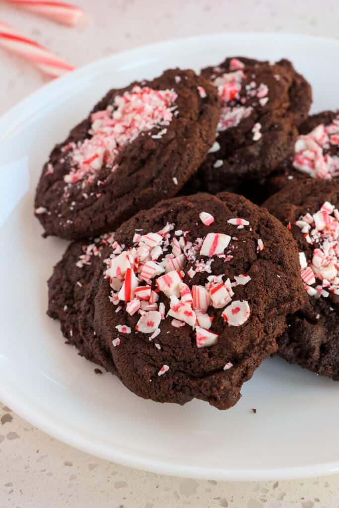Double chocolate Peppermint Cookies with semisweet chocolate chips and crushed peppermint candy for the ultimate chocolate peppermint lover. 