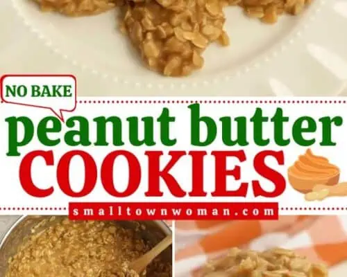 No Bake Peanut Butter Cookies