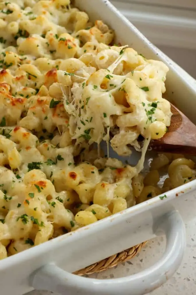 This Chicken Alfredo Bake combines roasted chicken, homemade creamy alfredo sauce, and pasta, all topped with freshly grated Parmesan cheese and mozzarella.