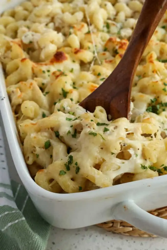 You can use several different pasta shapes in this recipe, such as linguine, fettuccine,  medium shells, penne, rigatoni, or ziti. 