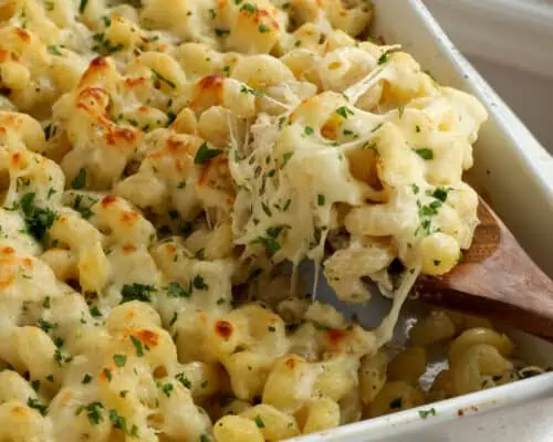Chicken Alfredo Pasta Bake