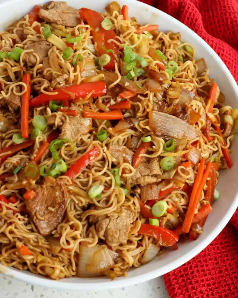 A serving bowl full of pork lo mein loaded with stir-fried tender pork, onions, carrots, bell pepper, shredded cabbage, and noodles, all in an ever so slightly sweet and savory soy-based sauce.