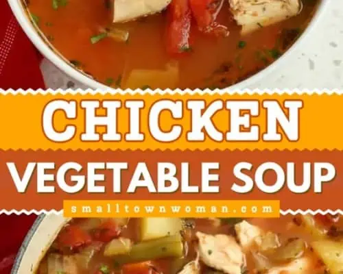 Chicken Vegetable Soup