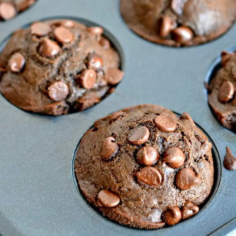 Double Chocolate Muffins