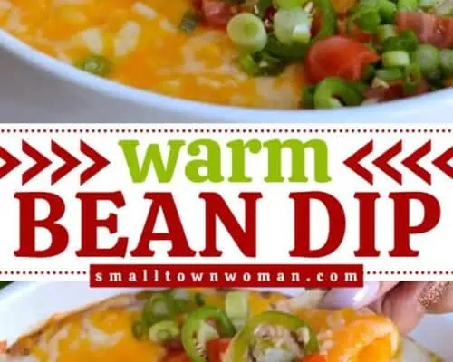 Warm Bean Dip