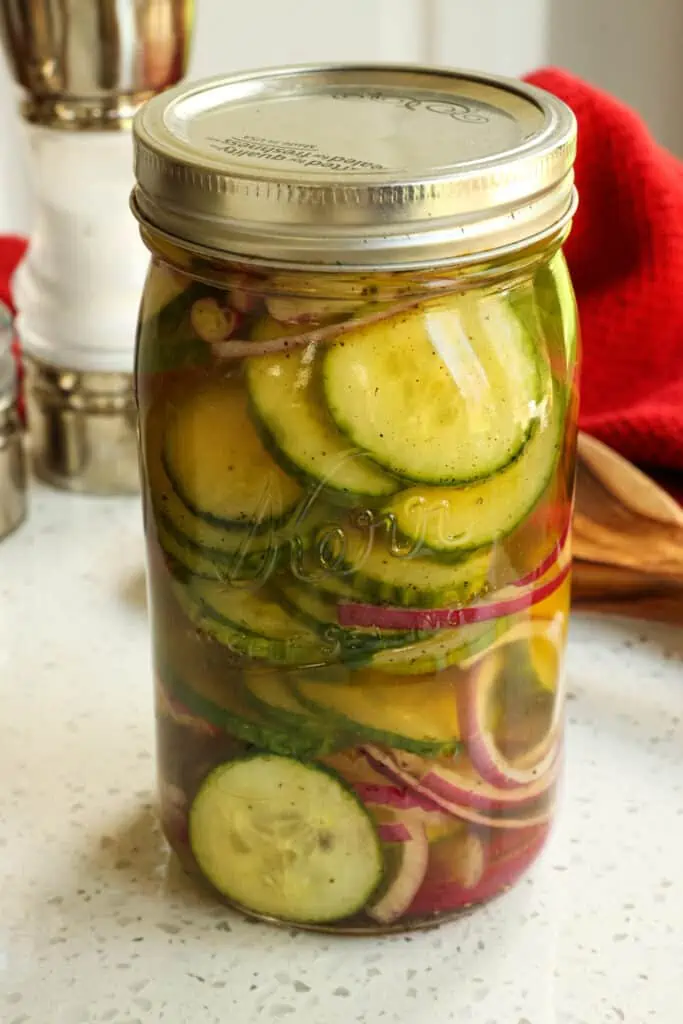 Easy Marinated Cucumbers with red onions is made with eight simple ingredients in just under ten minutes, making it easy to prepare anytime.