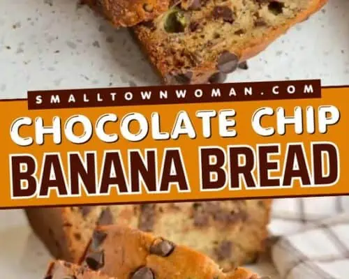 Chocolate Chip Banana Bread