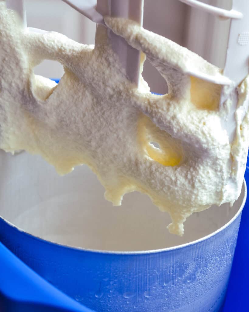 Vanilla Ice Cream in an ice cream maker.