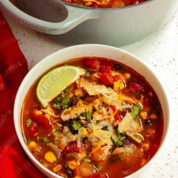 Chicken Taco Soup