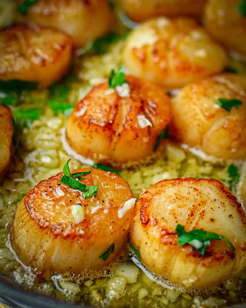 These scrumptious Garlic Lemon Butter Seared Scallops are honestly the best way to prepare scallops with perfectly seared scallops in a lemon garlic butter sauce.