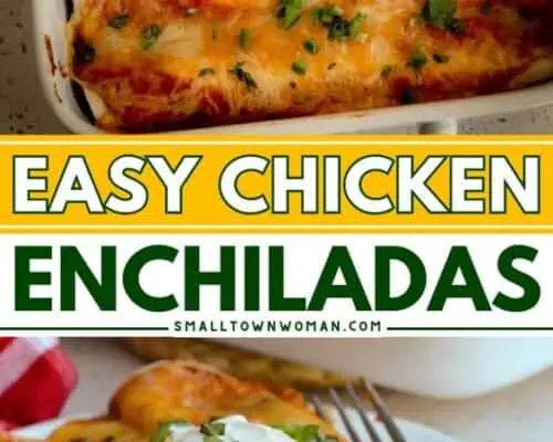 Chciken Enchiladas