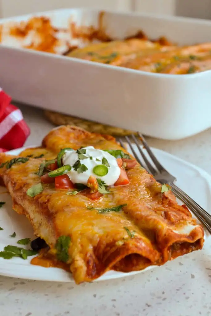 Fun and flavorful Tex-Mex Chicken Enchiladas made with homemade enchilada sauce and shredded chicken. Top with cilantro, chopped tomatoes, sliced black olives, minced jalapeno, chopped avocados, or sour cream.