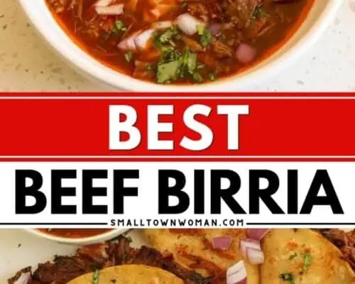 Beef Birria