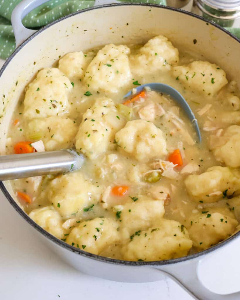 An overhead view of a Dutch oven and ladle full of chicken dumpling soup.