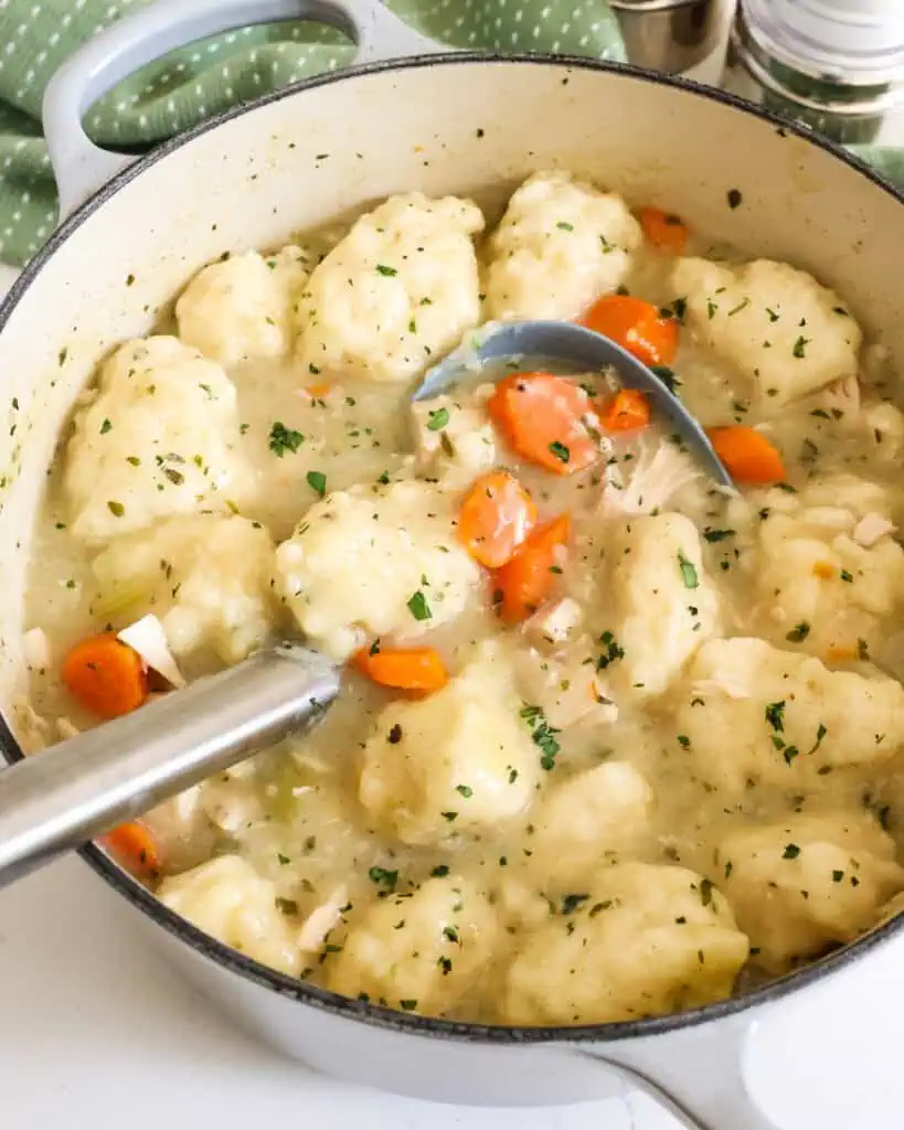 Chicken Dumpling Soup