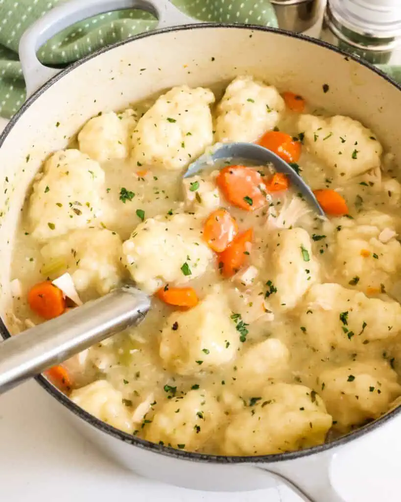 Chicken Dumpling Soup