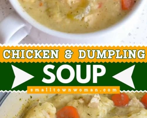 Chicken and Dumpling Soup