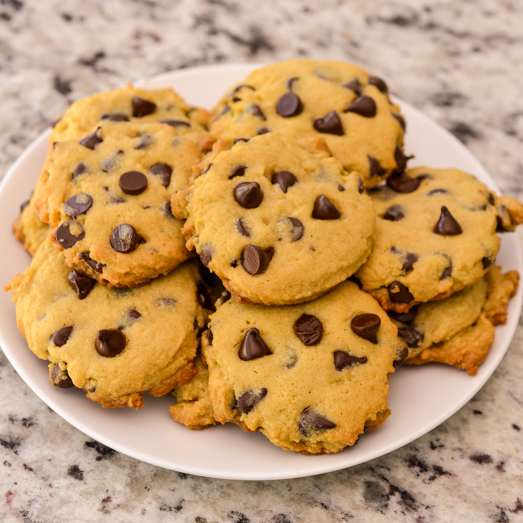 Chocolate Chip Pudding Cookies