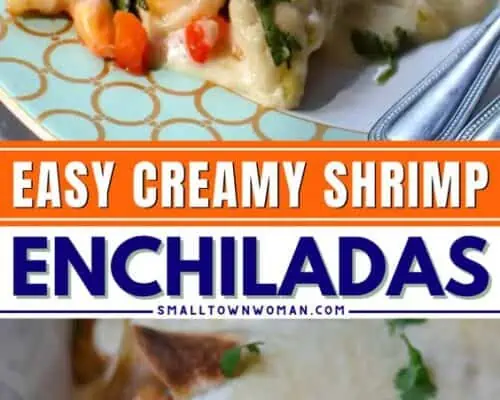 Shrimp Enchiladas