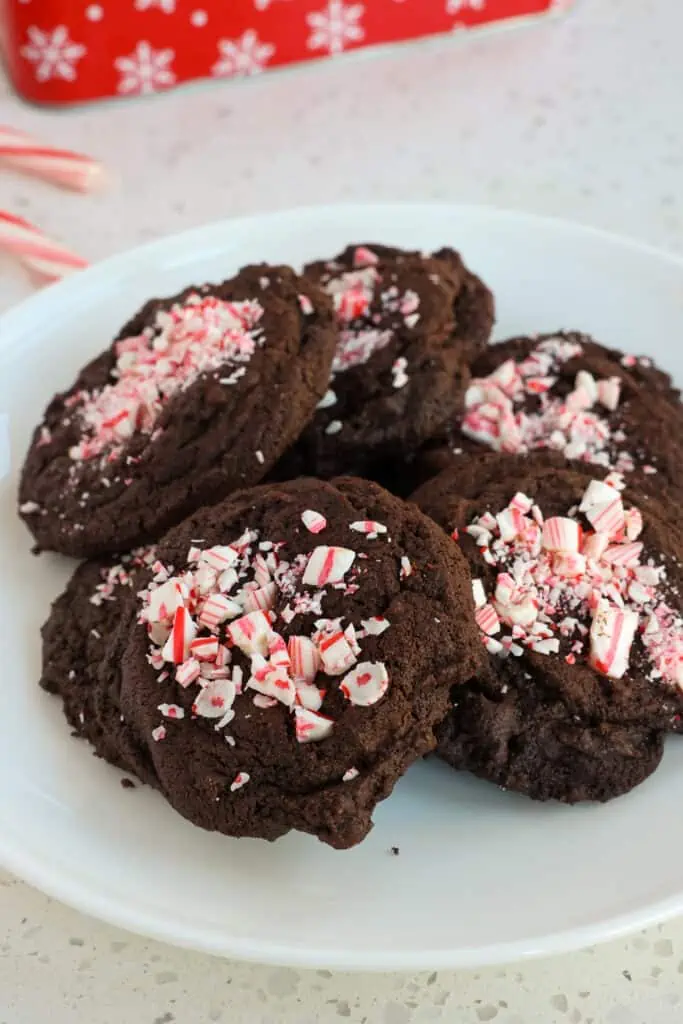 Double chocolate Peppermint Cookies with semisweet chocolate chips and crushed peppermint candy for the ultimate chocolate peppermint lover. 