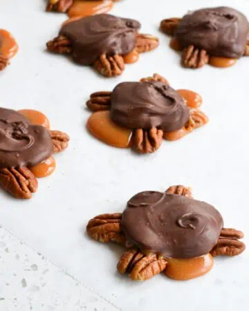 Chocolate Turtles