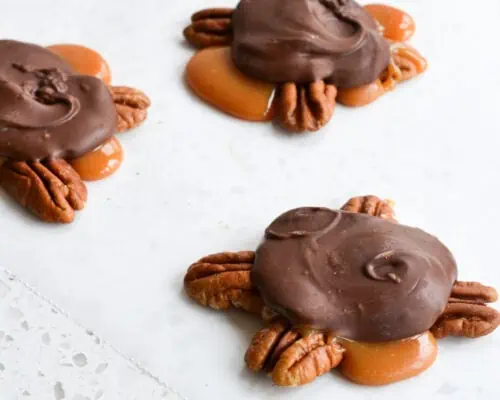 Chocolate Turtles