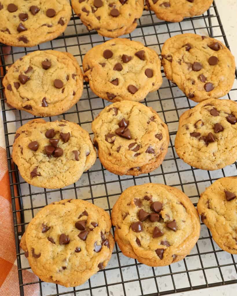 Chewy Chocolate Chip Cookies