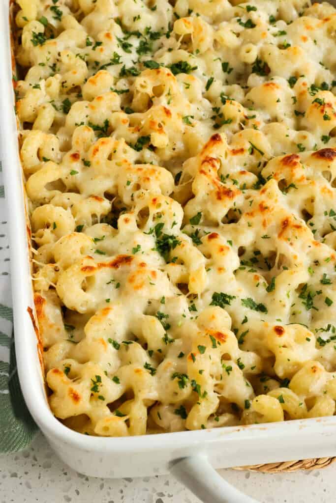 Chicken Alfredo Bake