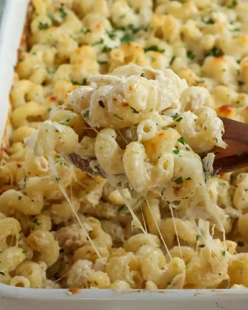 Enjoy comfort food at its best with this Chicken Alfredo Bake combines already baked rotisserie chicken with cavatappi pasta in a creamy alfredo sauce topped with melty Parmesan and mozzarella cheese.