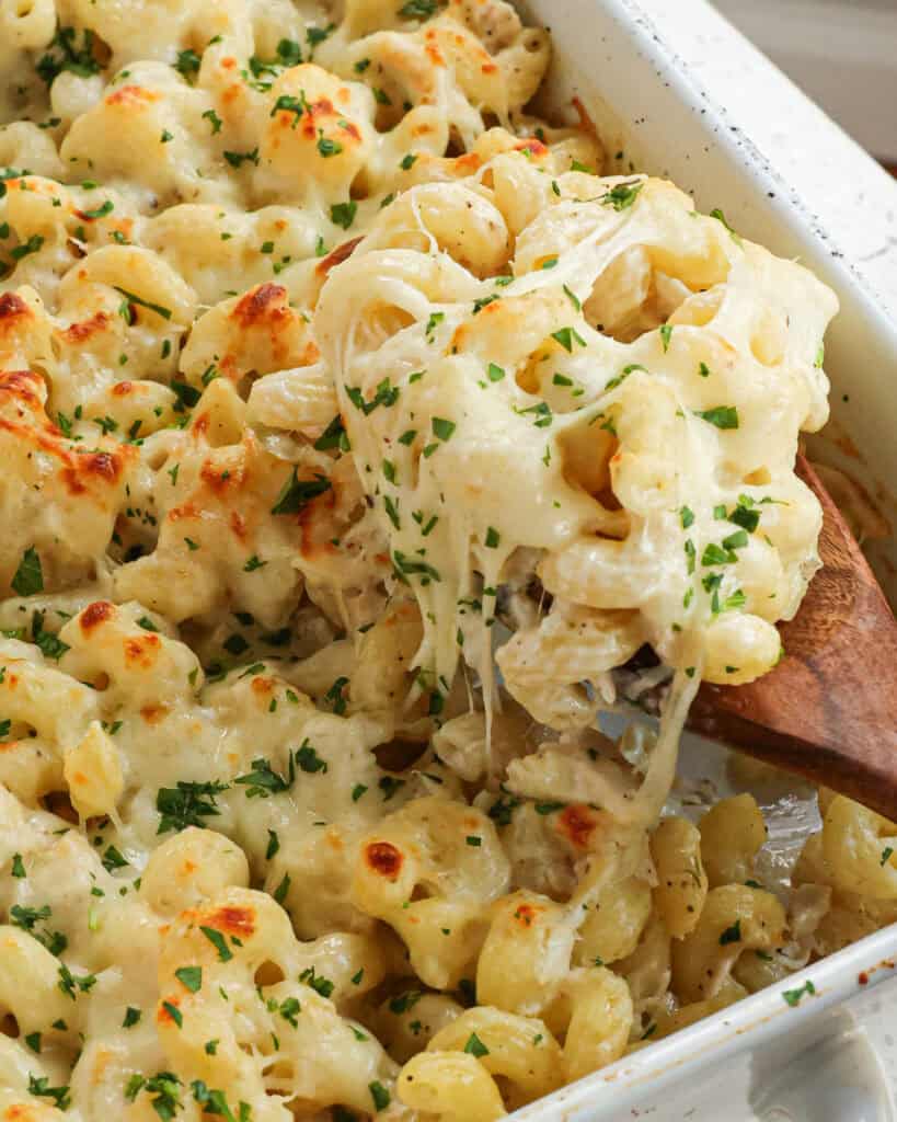 This Chicken Alfredo Bake combines roasted chicken, homemade creamy alfredo sauce, and pasta, all topped with freshly grated Parmesan cheese and mozzarella.