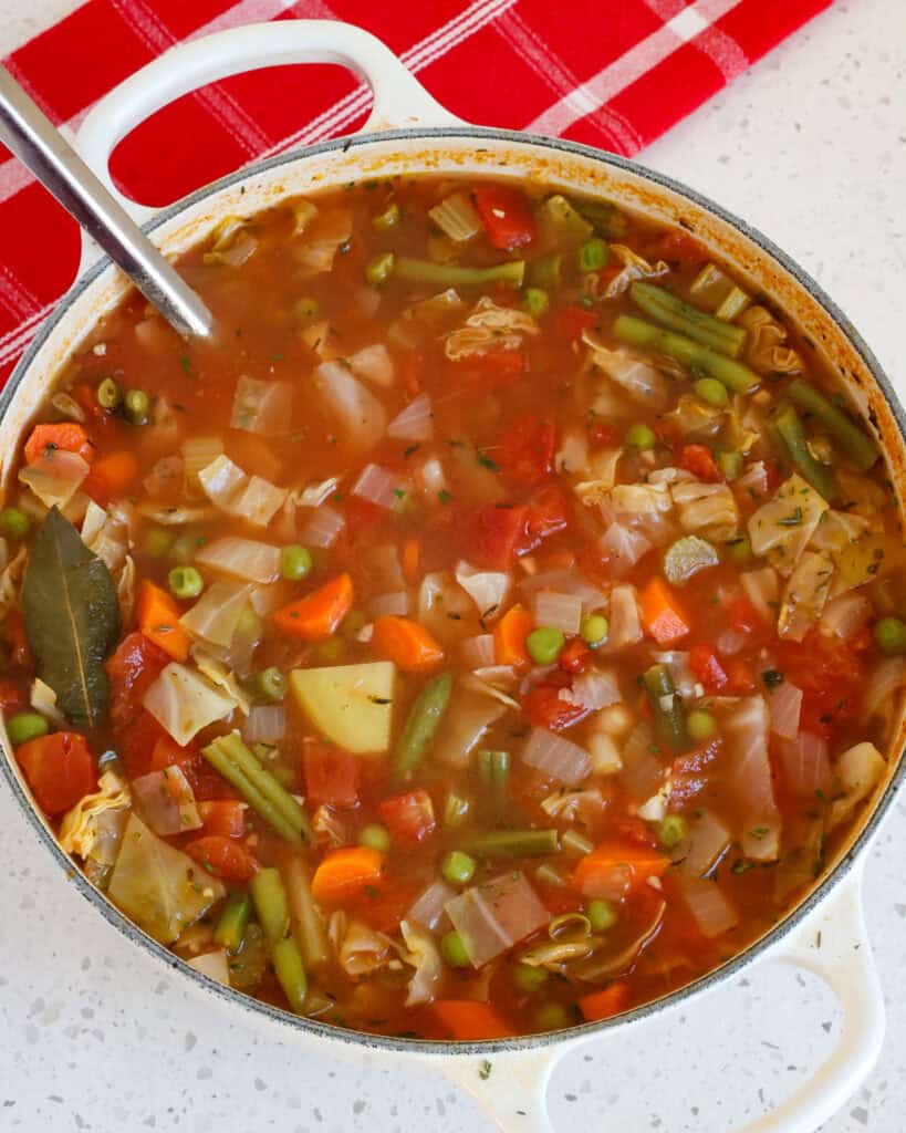 This tasty vegetable soup is the perfect pick-me-up for the winter blahs with the perfect balance of herbs, spices, and veggies.
