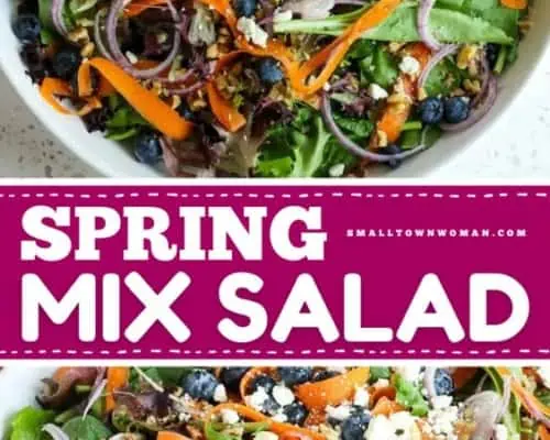 Spring Mix Salad