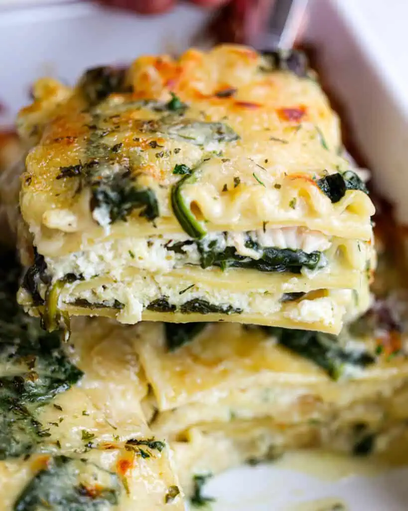 Chicken Lasagna
