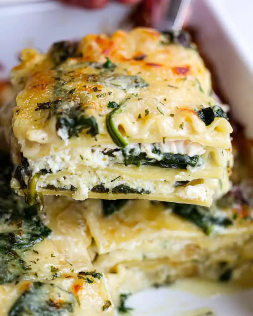 A delicious white creamy chicken lasagna loaded with ricotta, mozzarella, and Parmesan Cheese all smothered in a homemade white cream sauce with onions, garlic, and spinach.  