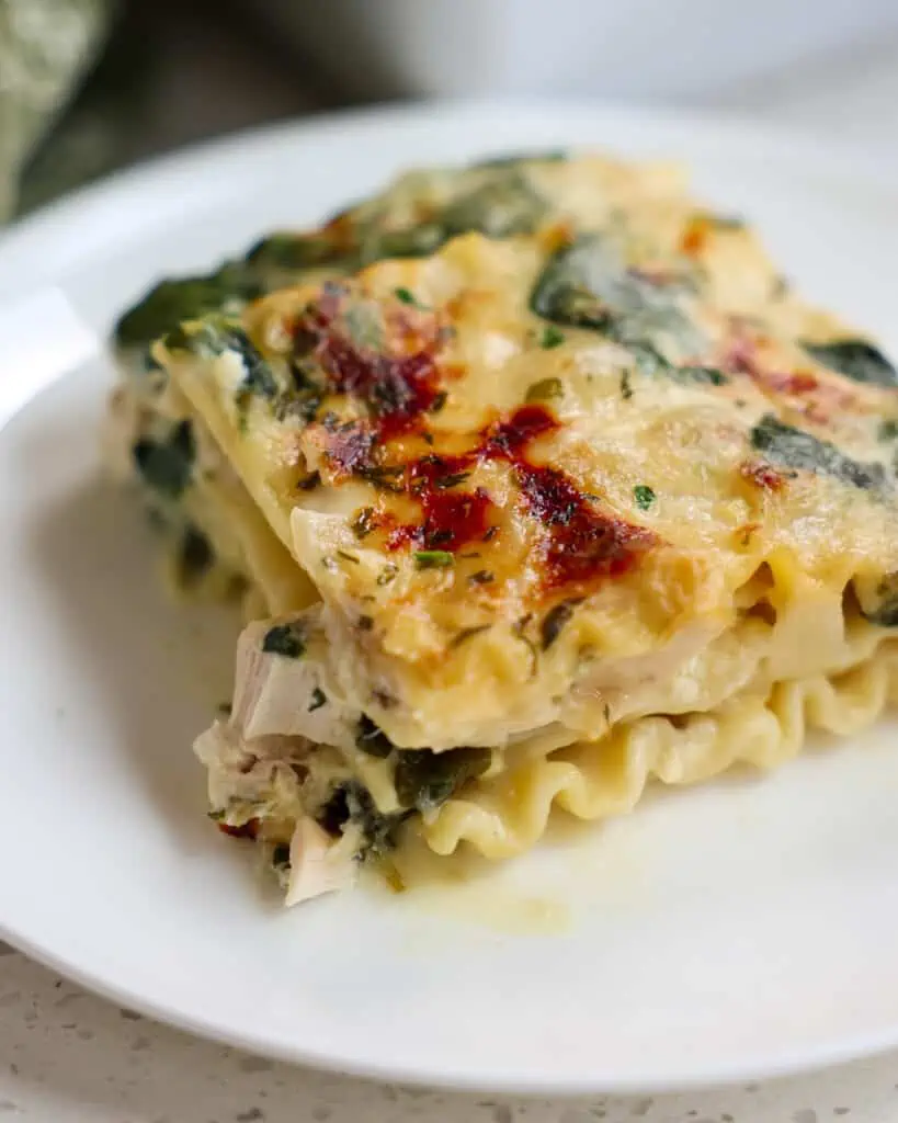 A delicious creamy Chicken Lasagna Recipe with white sauce with onions, garlic, and spinach and two layers of ricotta, parmesan, and mozzarella cheese mix. 