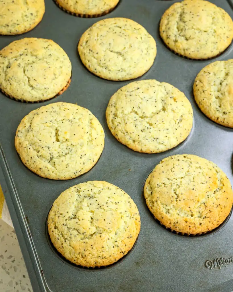 Baked lemon poppyseed muffins in a pan