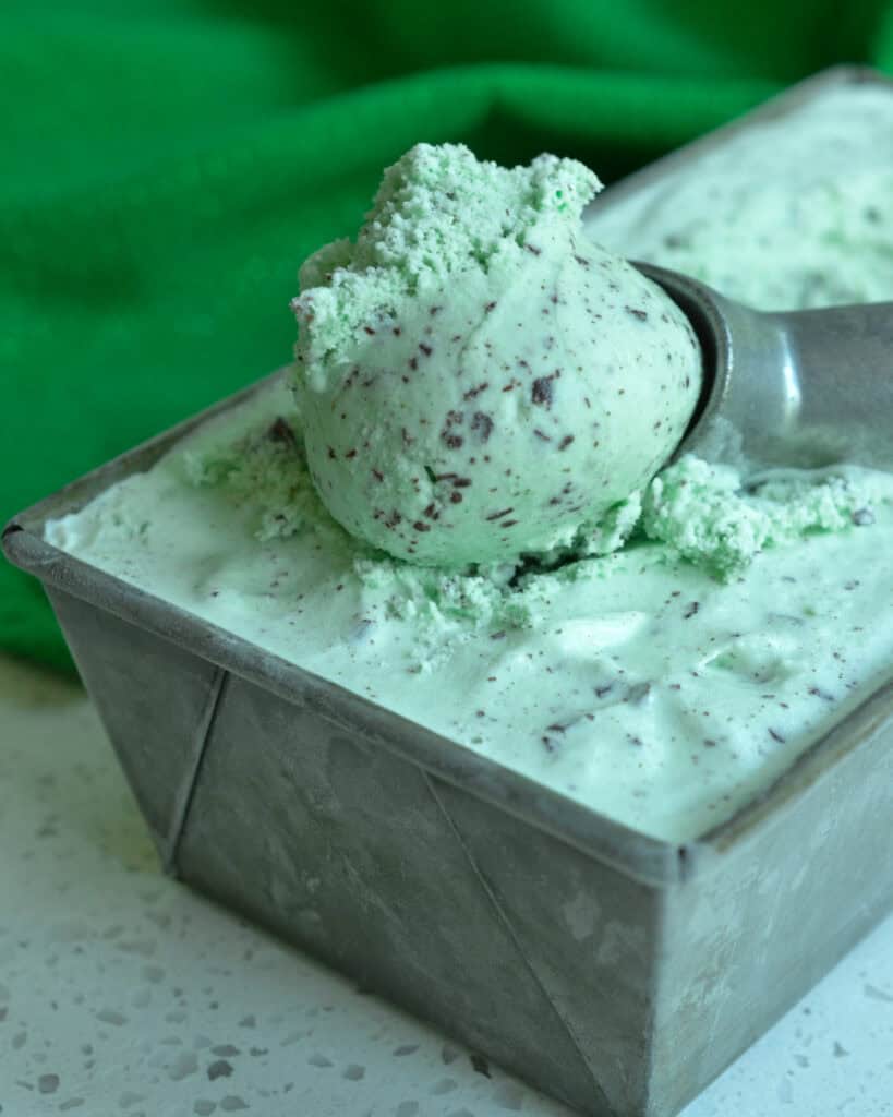 Mint Chocolate Chip Ice Cream