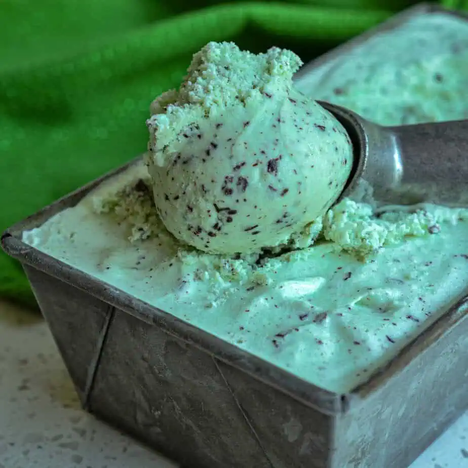Mint Chocolate Chip Ice Cream