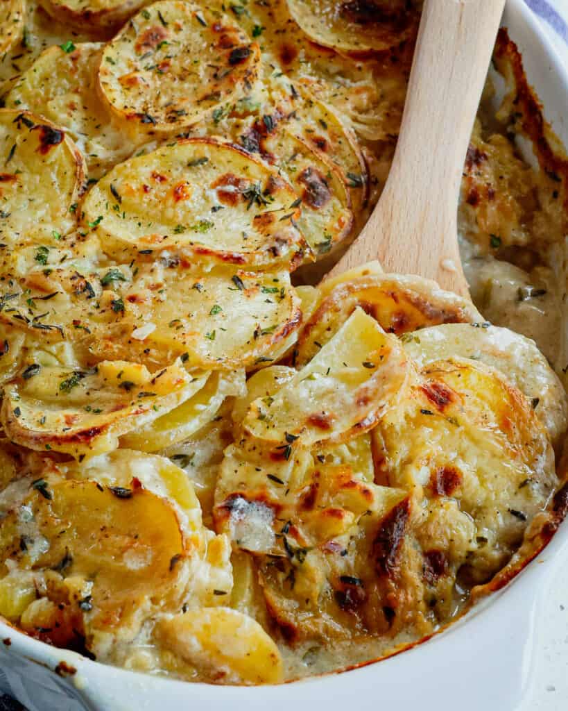 A large wooden spoon full or scalloped potatoes in an oval casserole dish filled with salloped potatoes. 