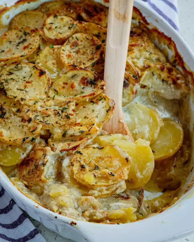 Scalloped Potatoes are thin slices of potatoes baked up tender in a smooth and lightly seasoned cream sauce. 
